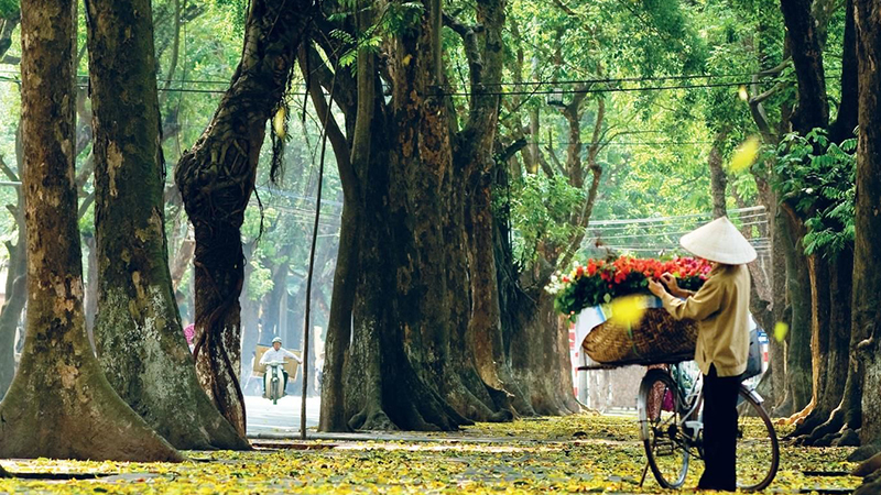 Ảnh thiên nhiên Việt Nam 2